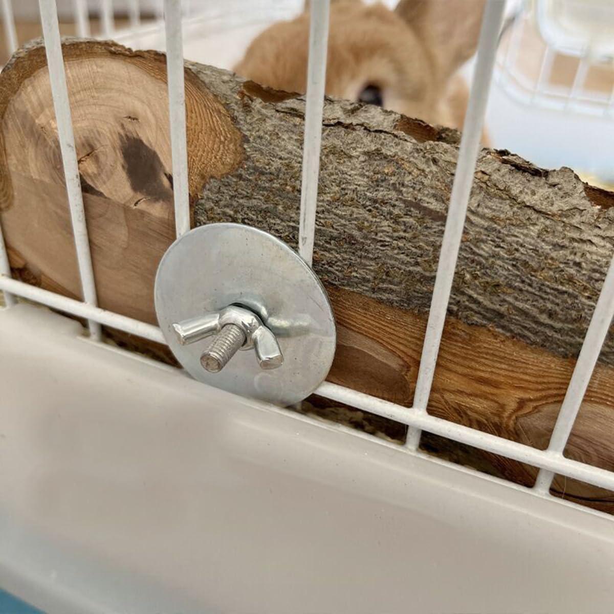 Discover How apple Wood Chew Treats Elevate Our Small Pets!