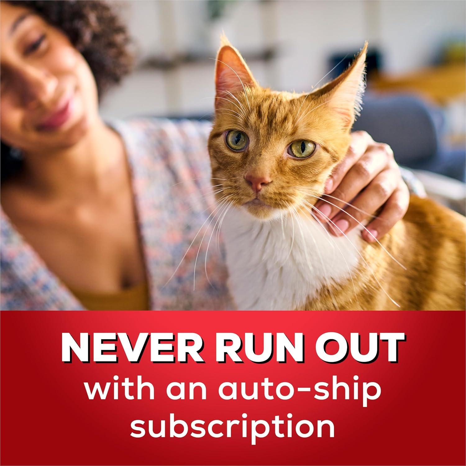 Keeping Our Cats Happy: Purina Tidy Cats Litter Review