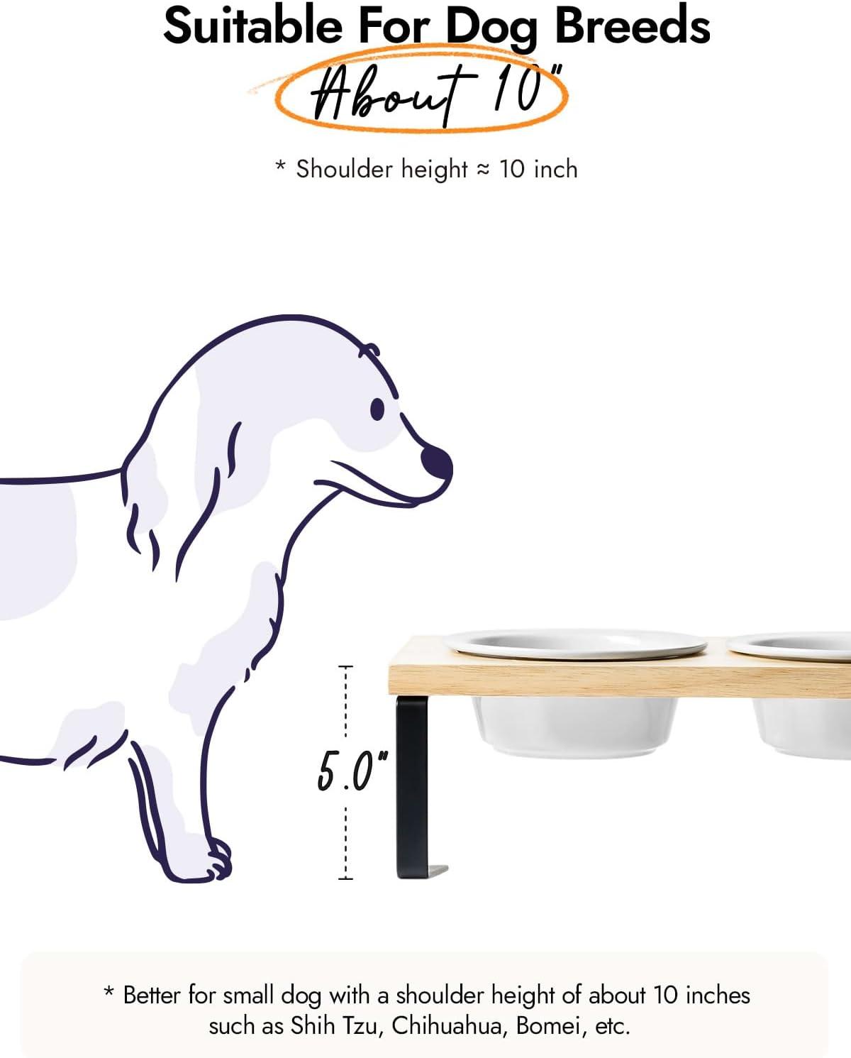 Elevated Dog Bowls: Our ​Review of the Perfect Dining Upgrade!