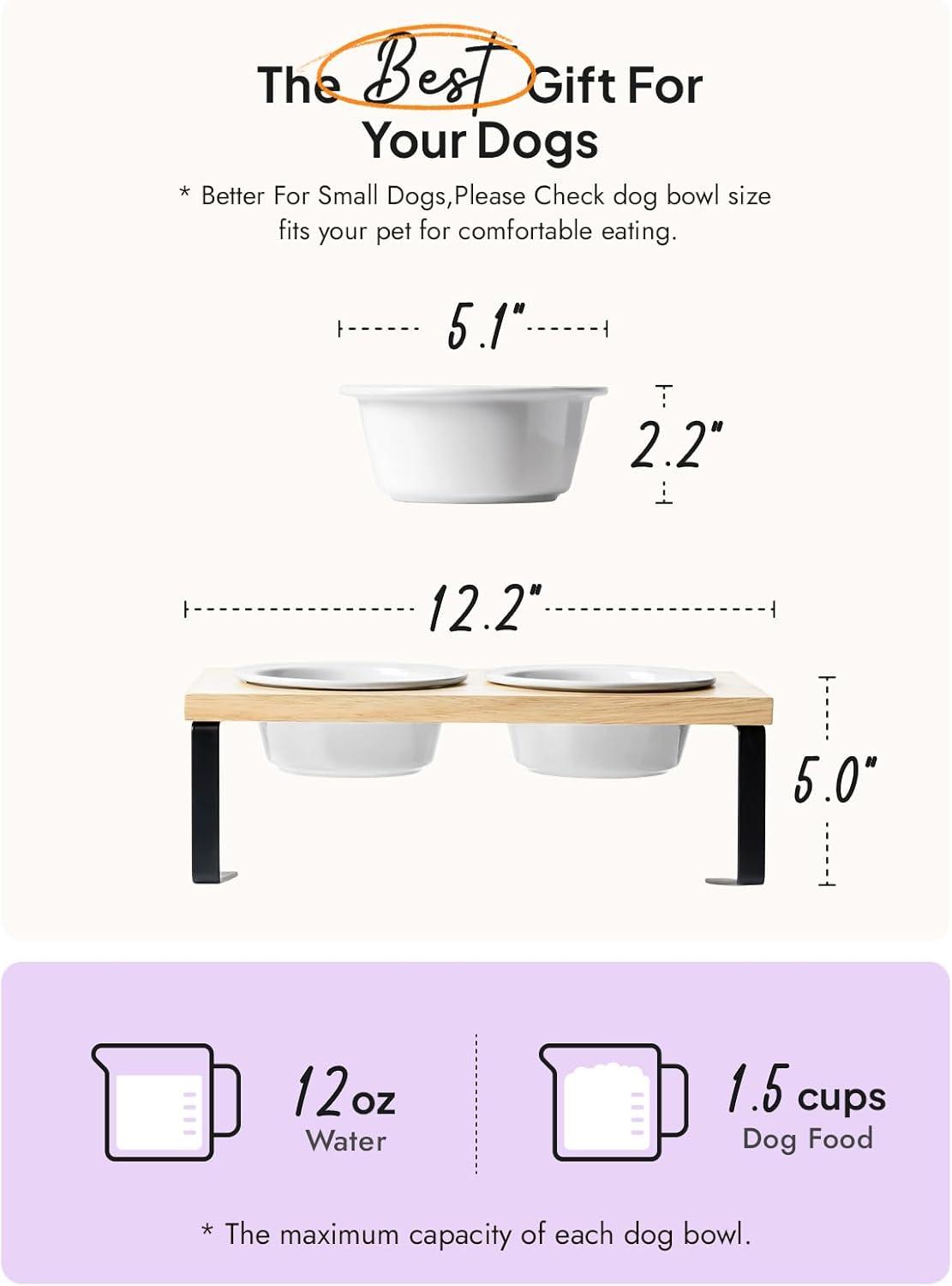 Elevated​ Dog Bowls: Our Review of the Perfect Dining​ Upgrade!