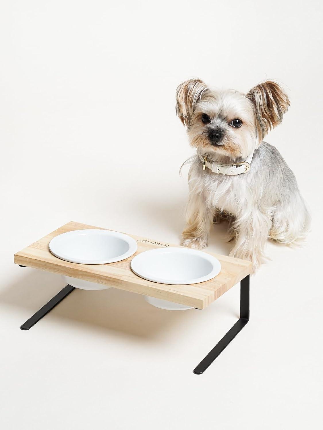 Elevated dog Bowls: Our Review ⁣of⁢ the Perfect Dining Upgrade!
