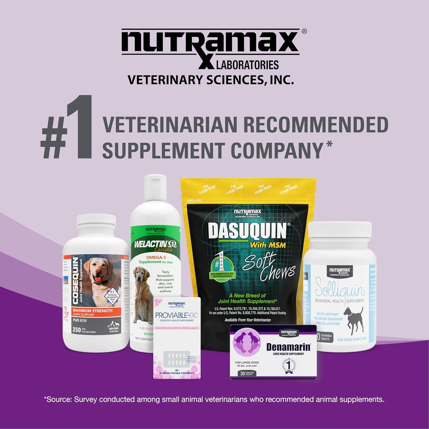 Why We Trust nutramax Dasuquin for Our Cats’ Joint Health!