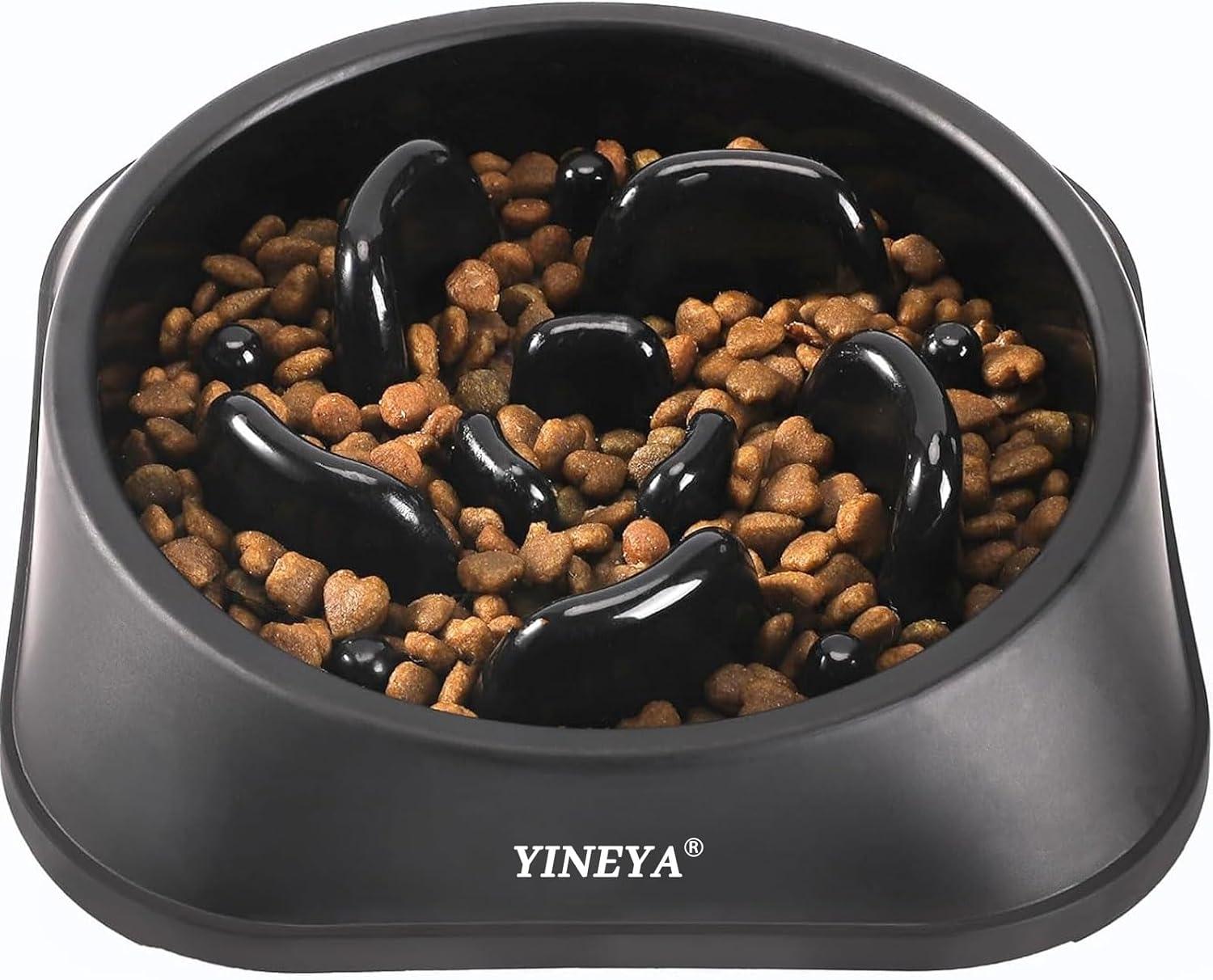Top Slow Feeder Bowls to Help Your Dog Eat Healthier